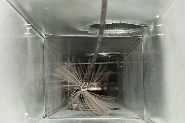 Best Professional Duct Cleaning Services  in Grosse Pointe, MI