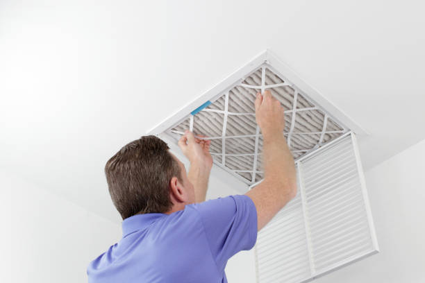 Best HVAC Duct Inspection Services  in Grosse Pointe, MI